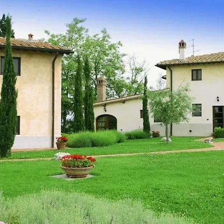 Vignola By Halldis Villa